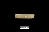 藏品(竹蟶)的圖片